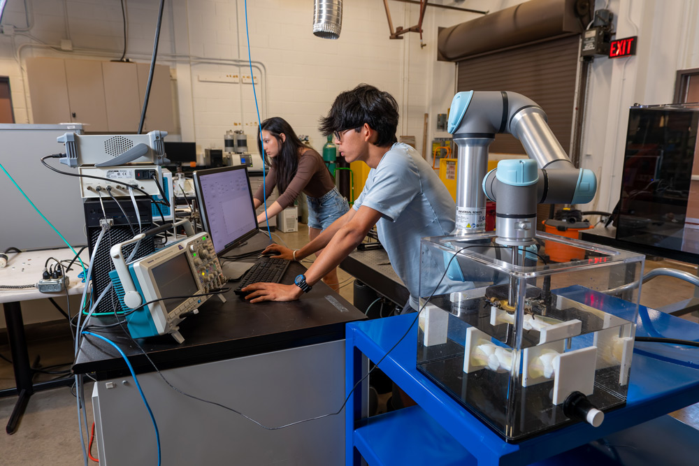 Students doing research in a lab