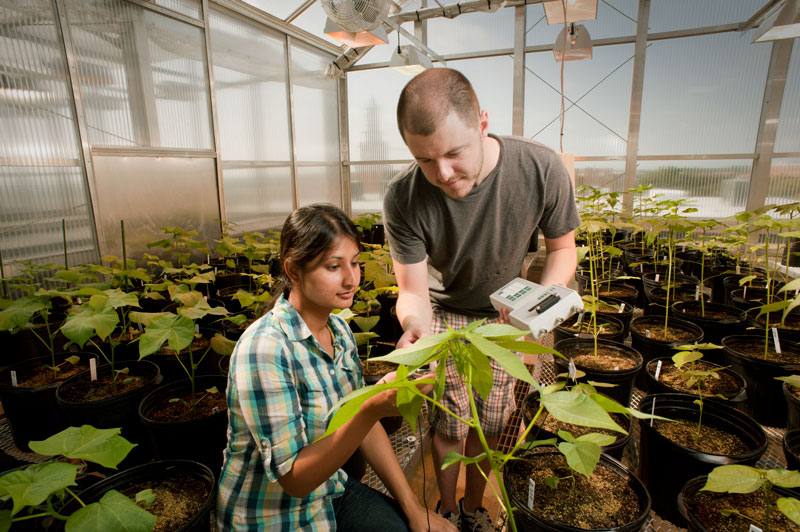 UNT is ranked among the nation's 115 top-tier research universities